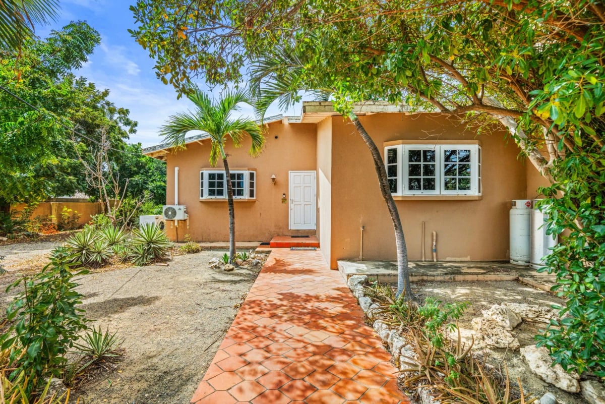 Main property