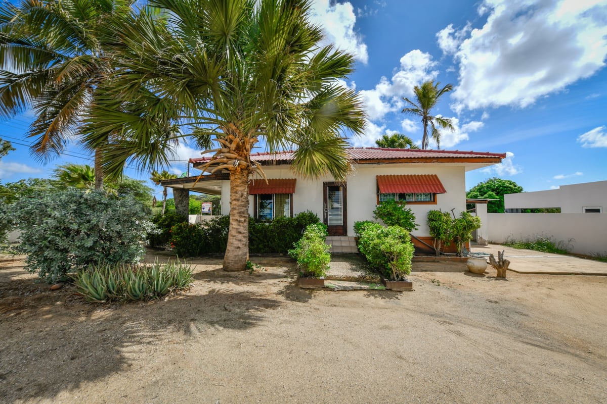 Main property