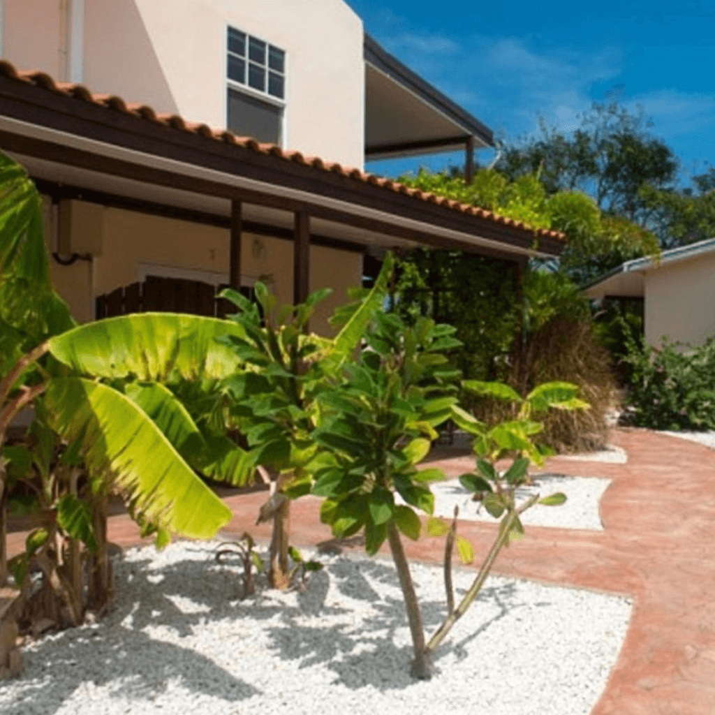 Main property