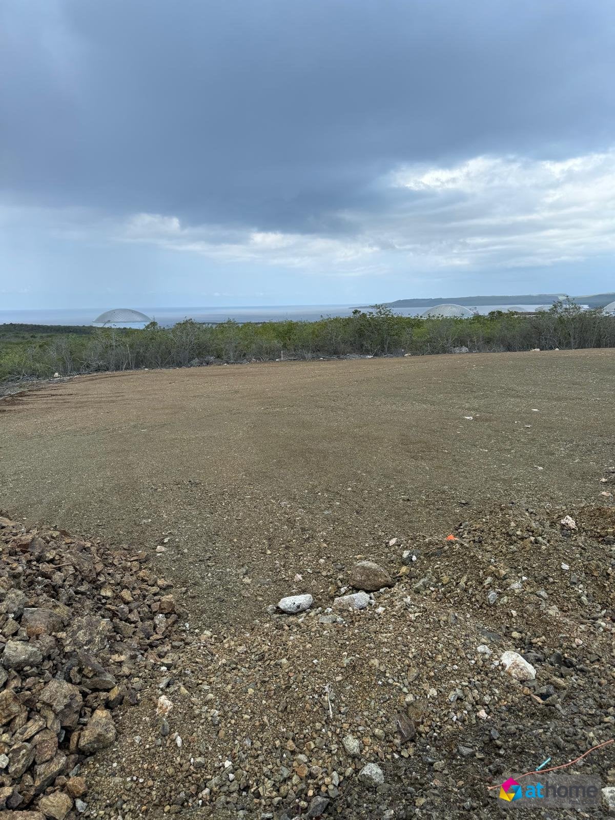 Main property
