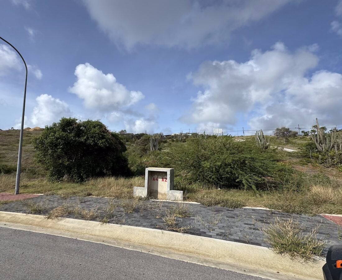 Main property