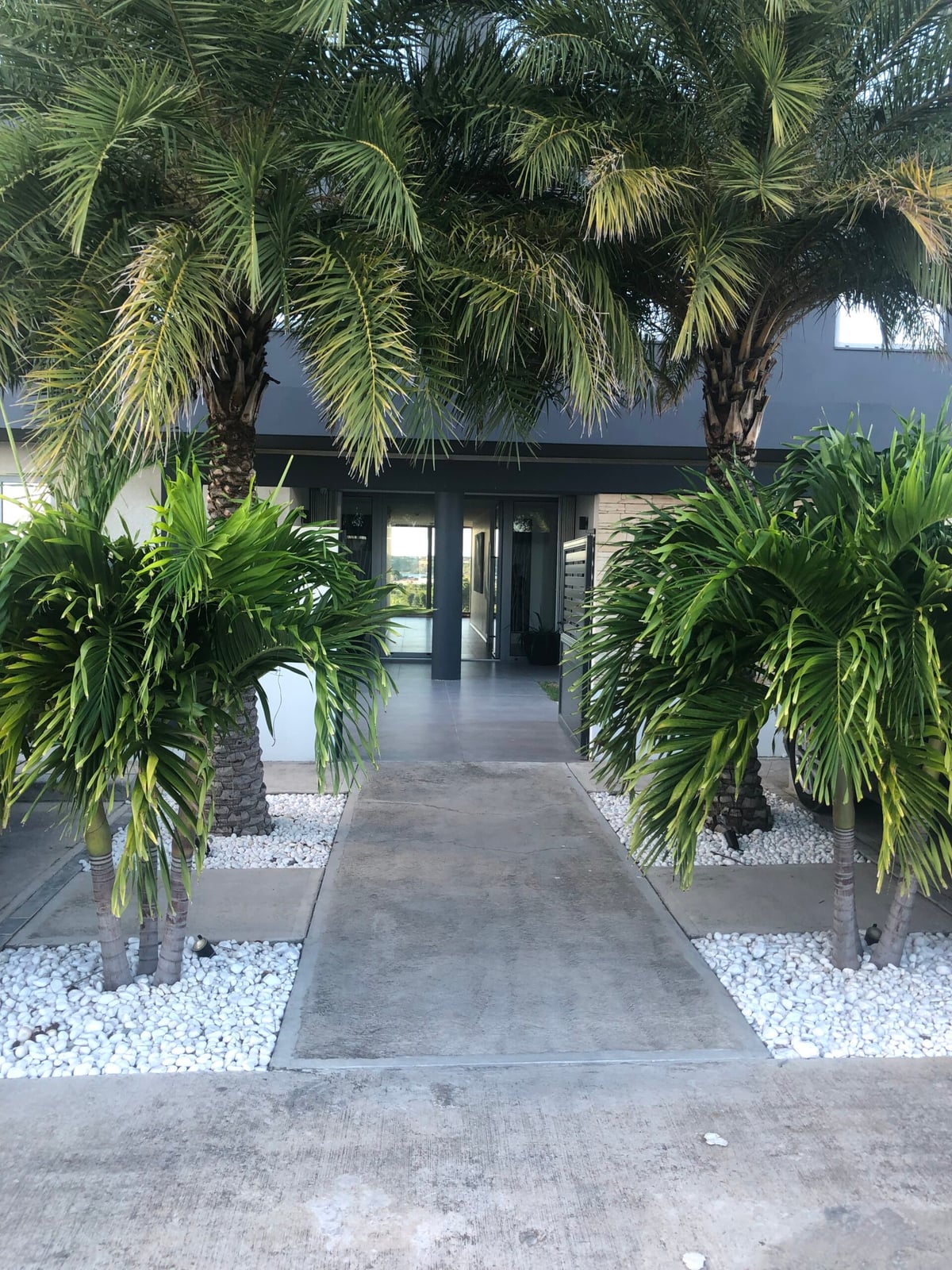 Main property