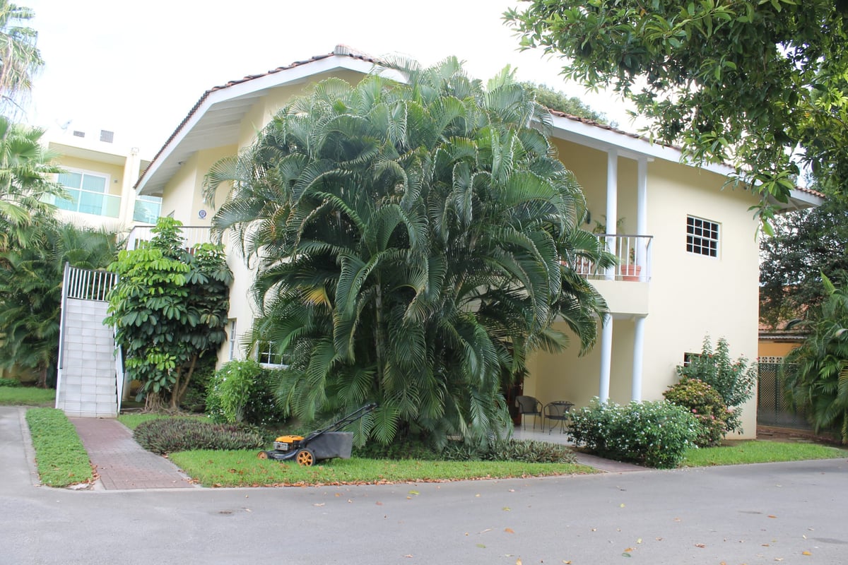 Main property