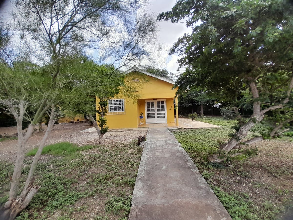Main property