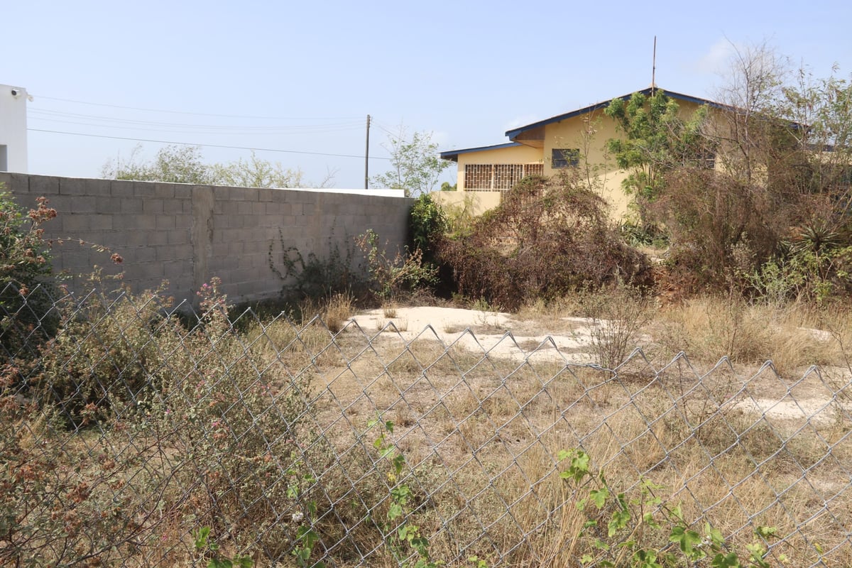 Main property