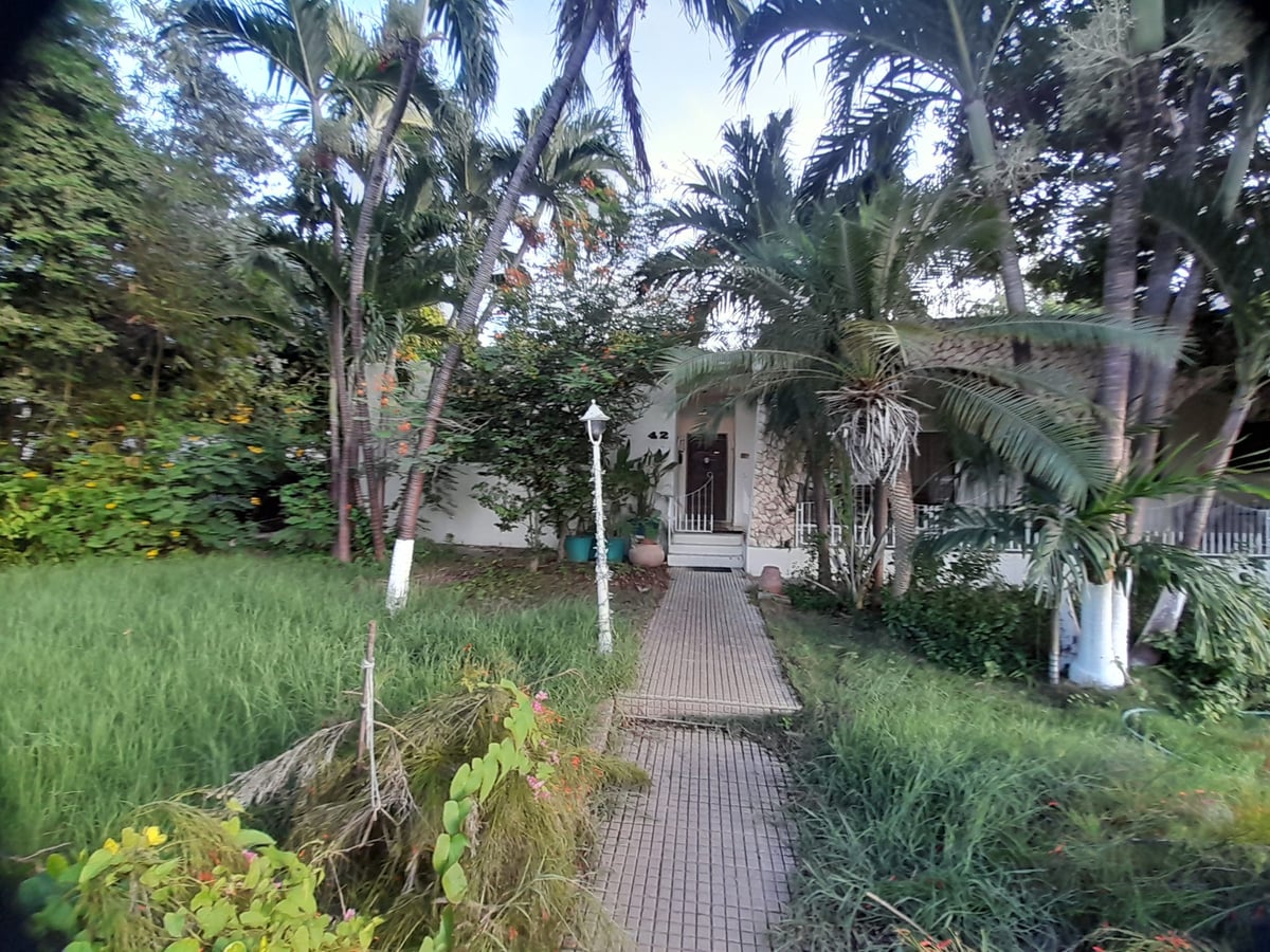 Main property