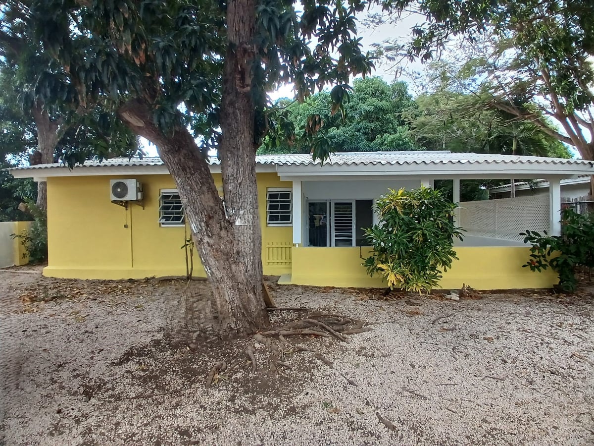 Main property