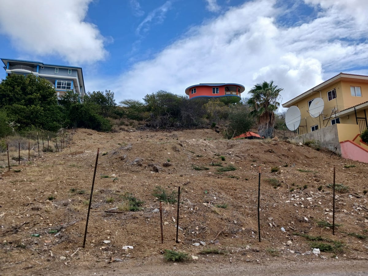 Main property