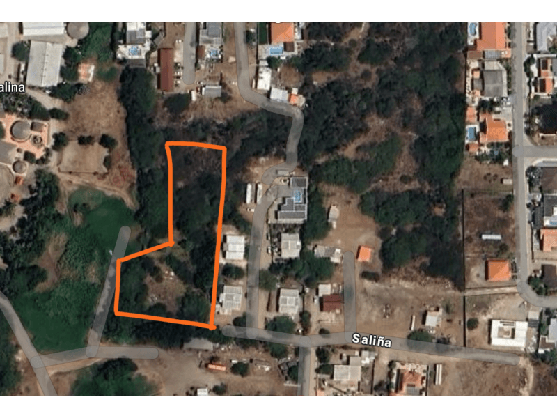 Main property