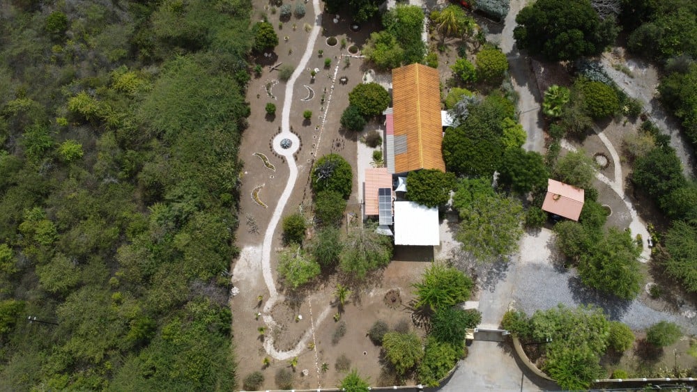 Main property