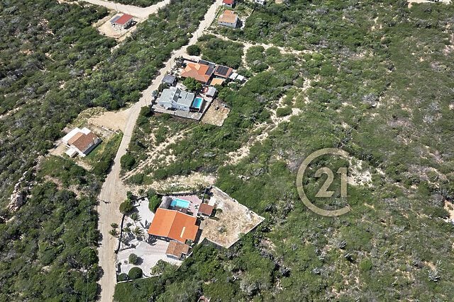 Main property