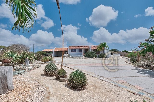 Main property