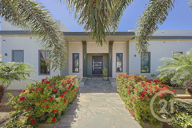 Main property