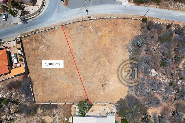Main property