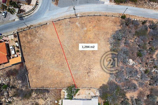 Main property