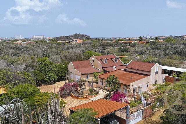 Main property