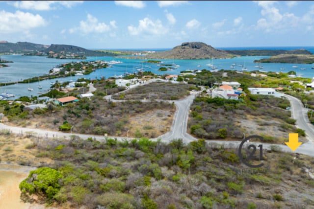 Main property