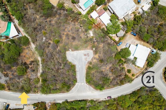 Main property