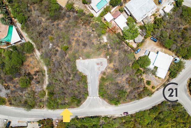 Main property