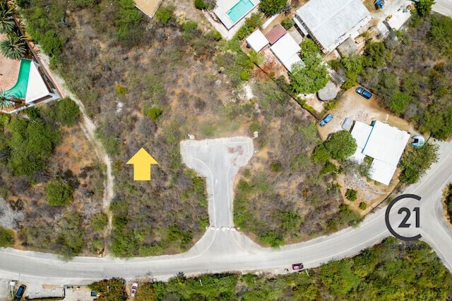 Main property