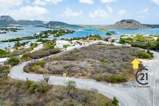 Main property