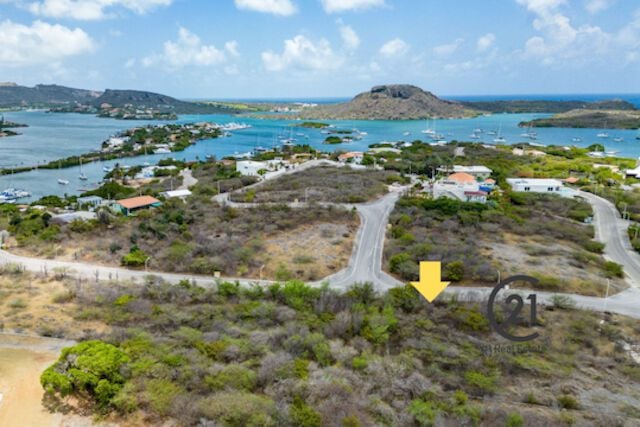 Main property