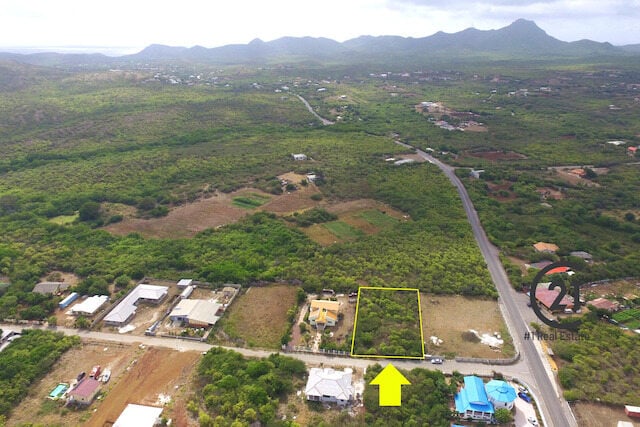 Main property