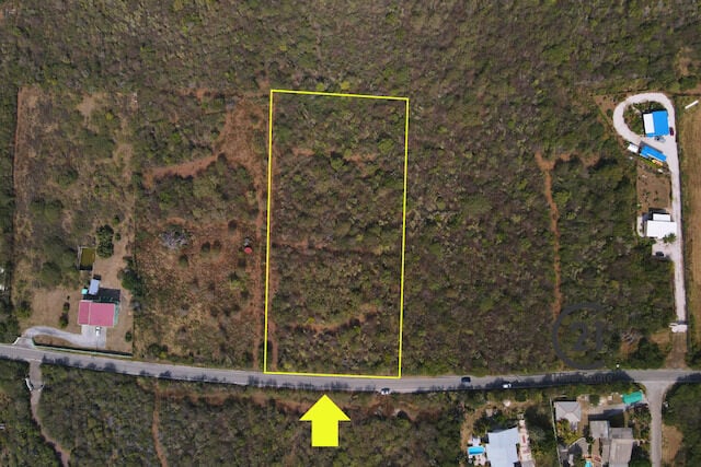 Main property
