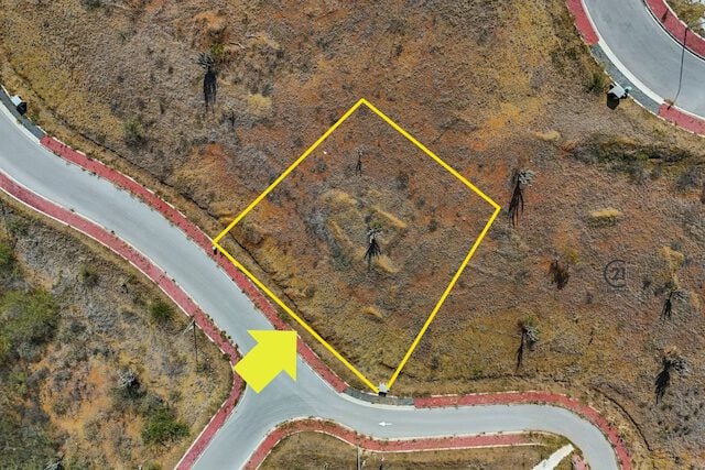 Main property