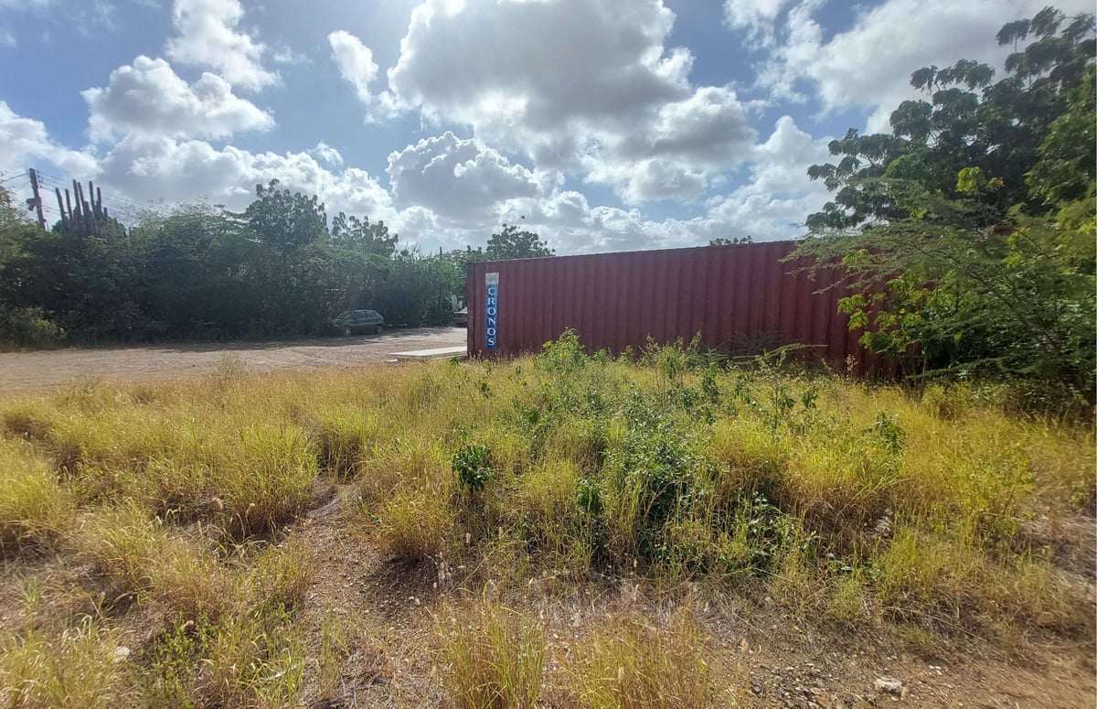 Main property