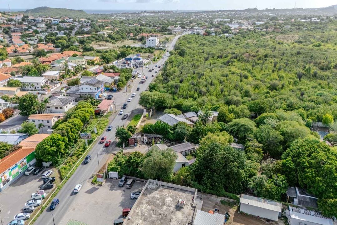 Main property