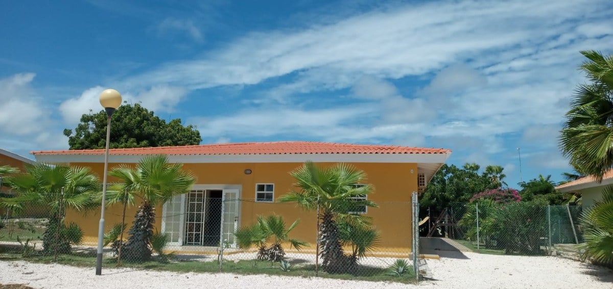 Main property