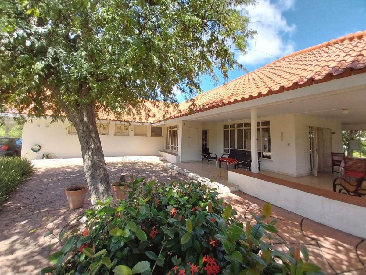 Main property