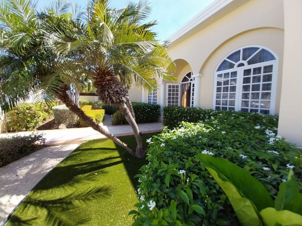 Main property
