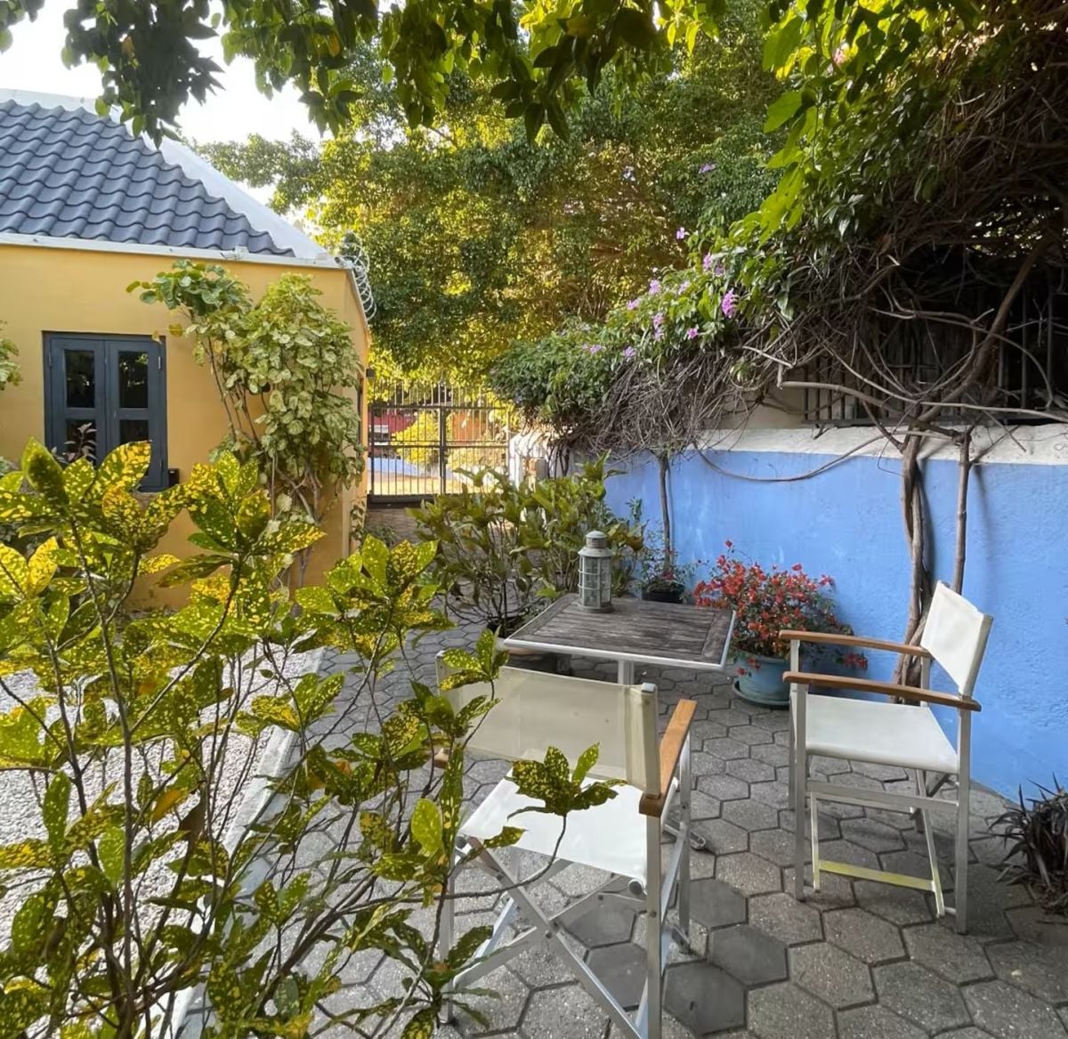 Main property