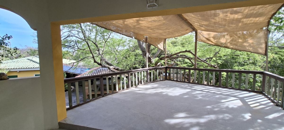 Main property