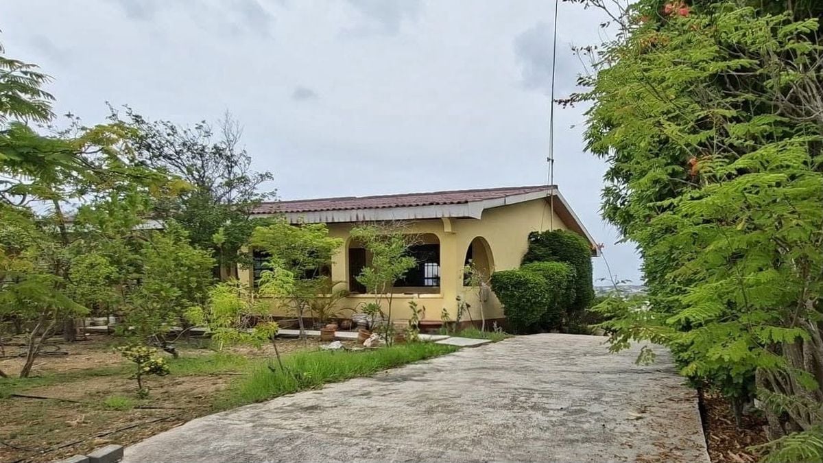Main property