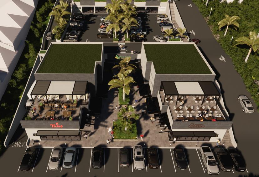Main property