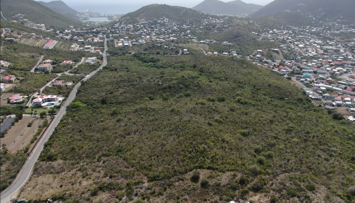 Main property
