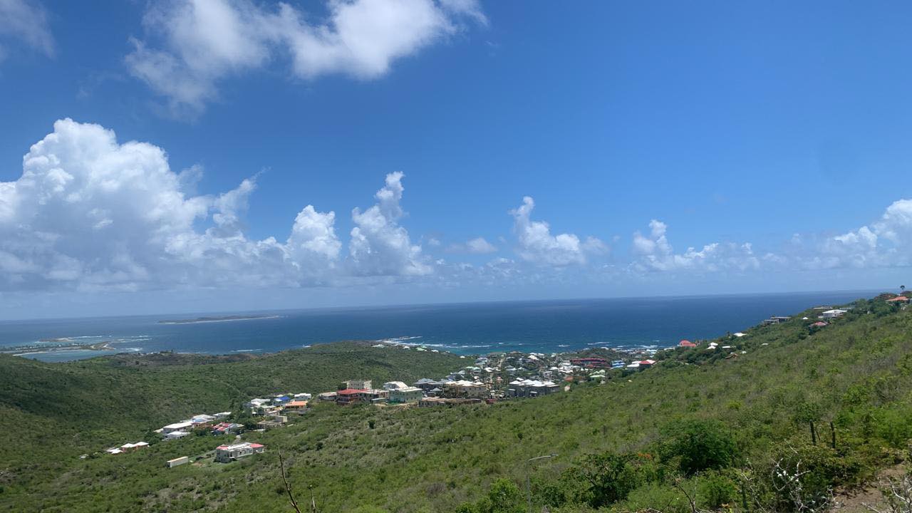 Main property
