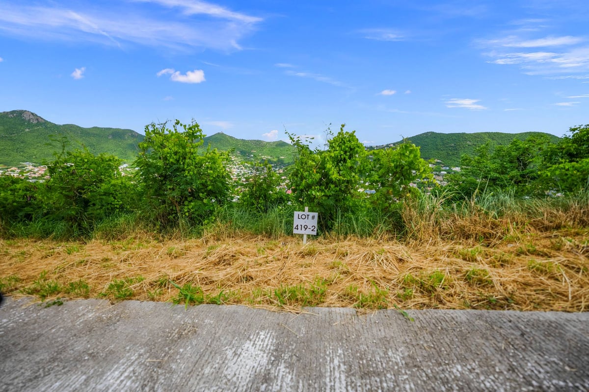 Main property
