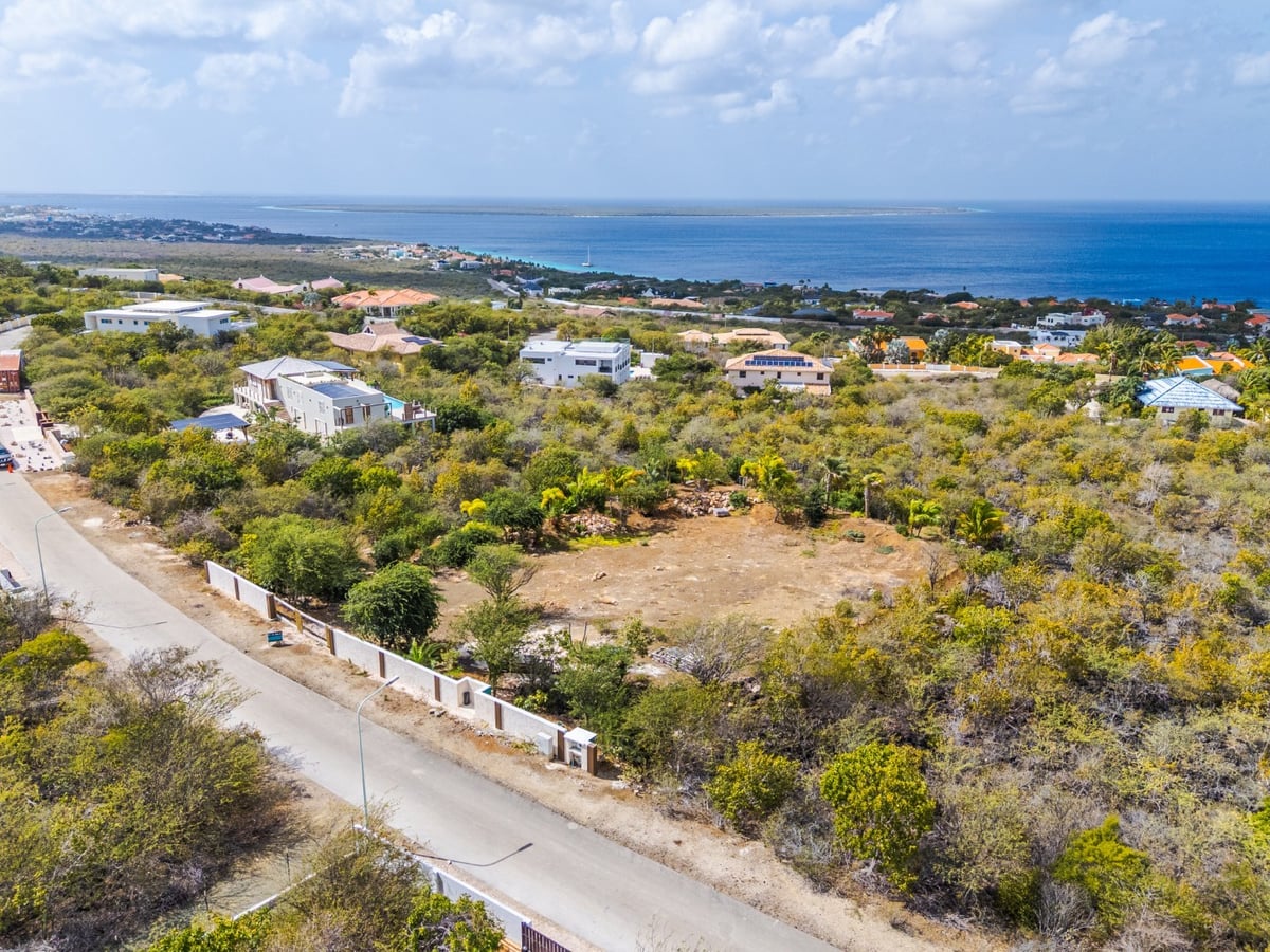 Main property