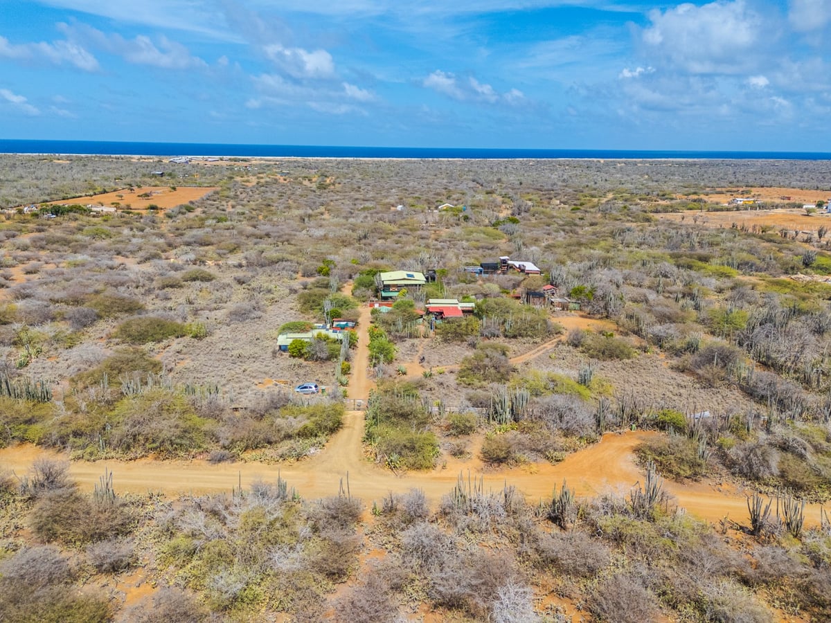 Main property
