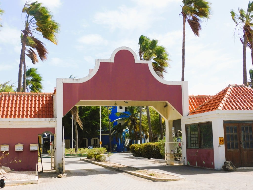 Main property