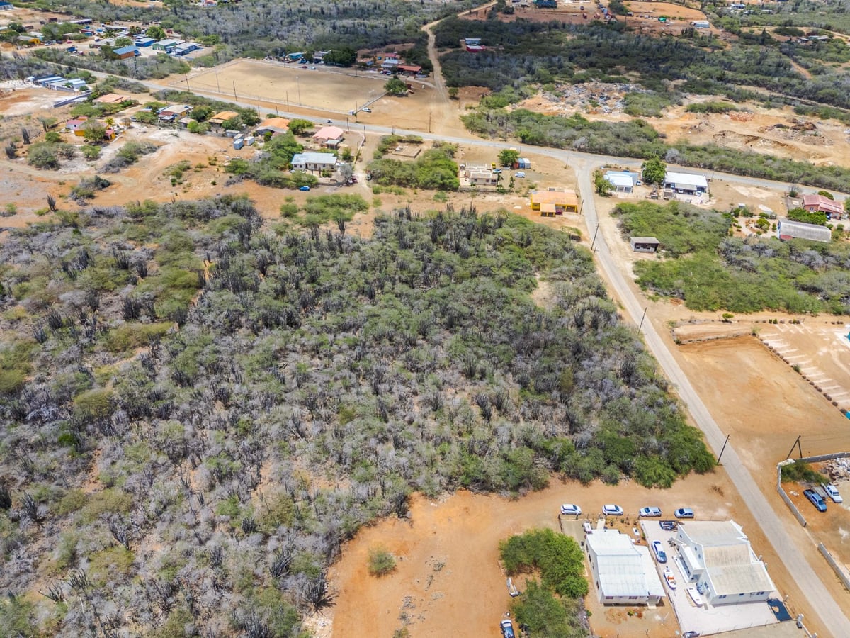 Main property