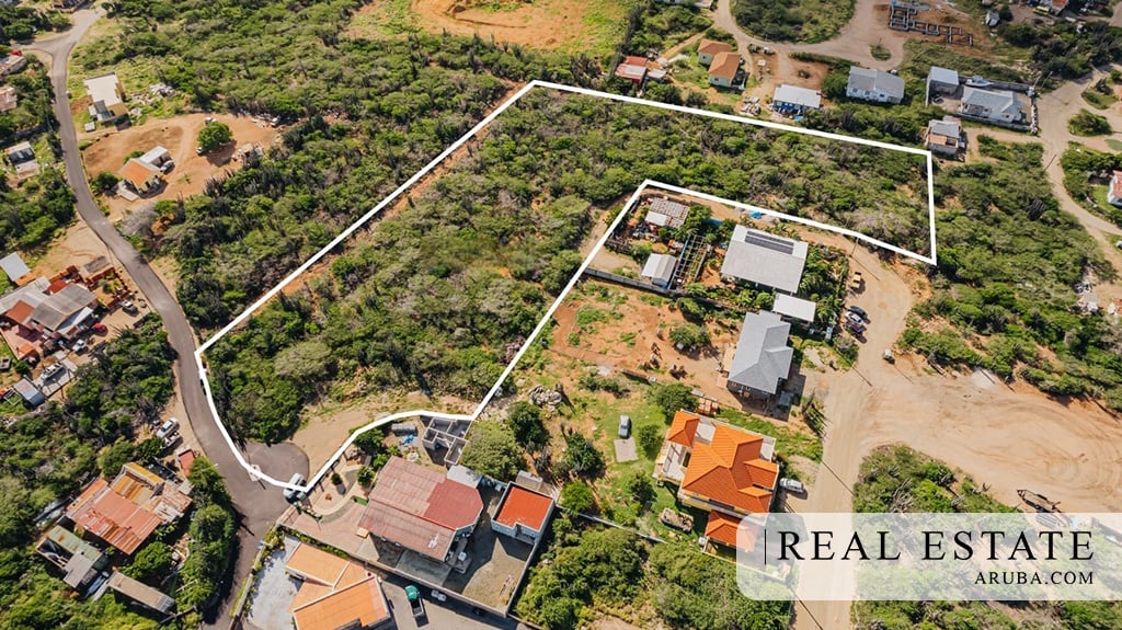 Main property