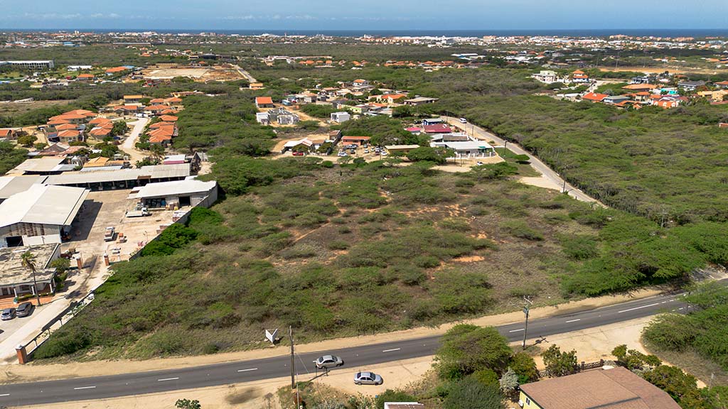 Main property