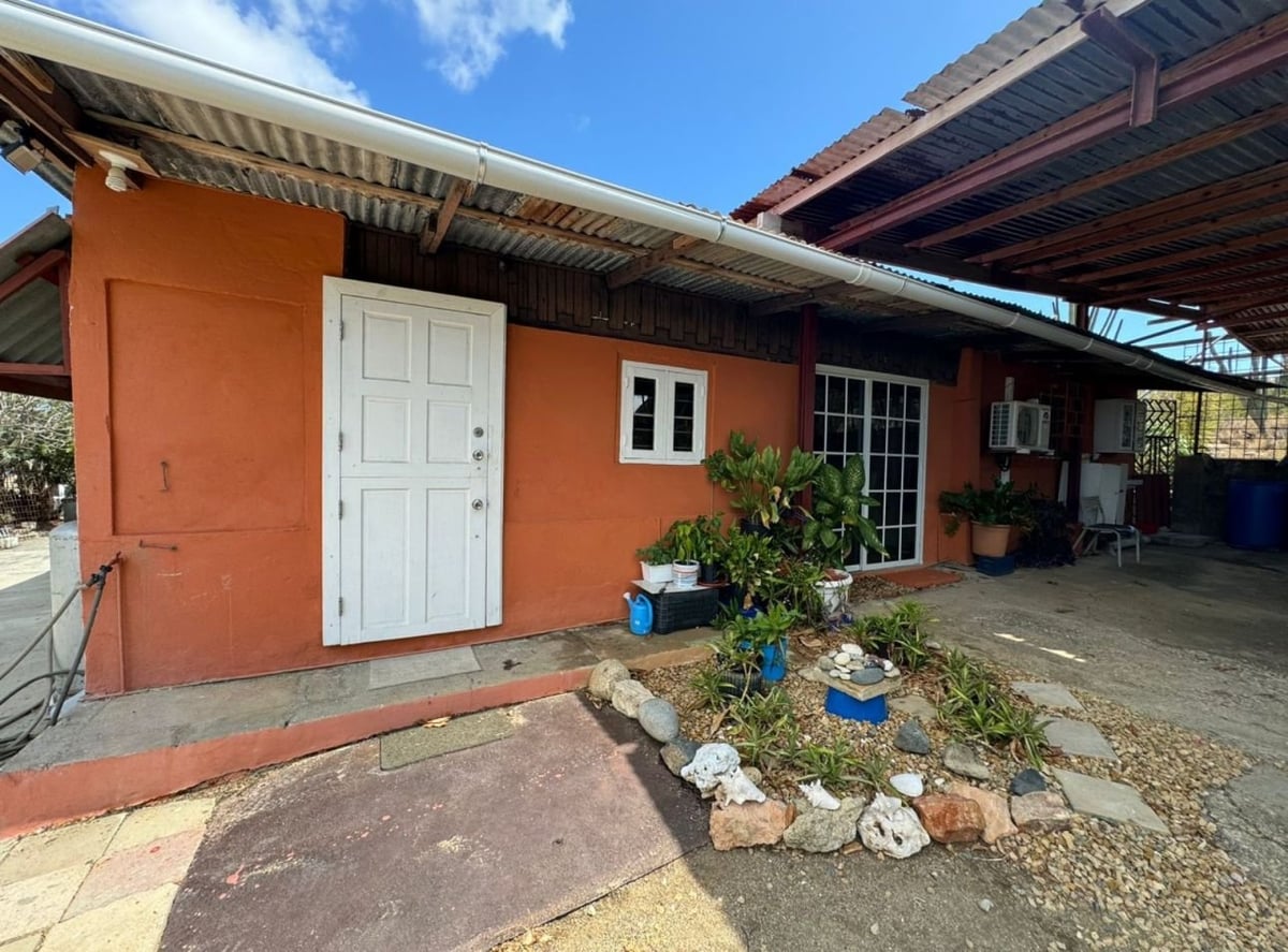 Main property