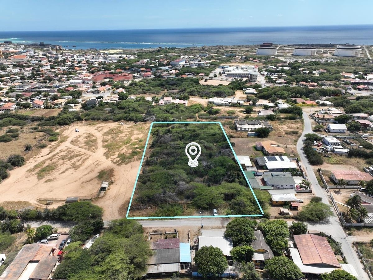 Main property