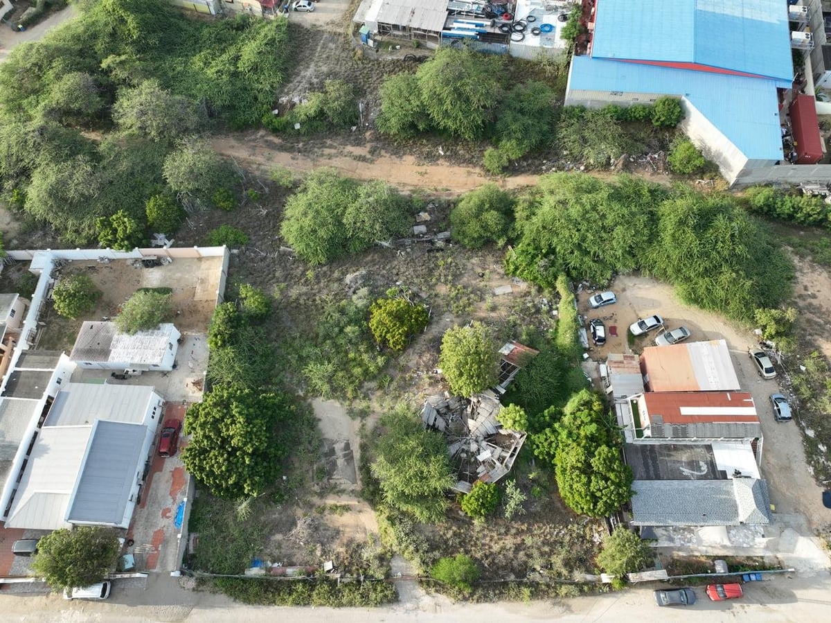 Main property